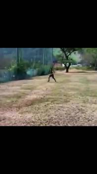满级人类的满分操作
