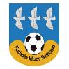 斯米尔泰